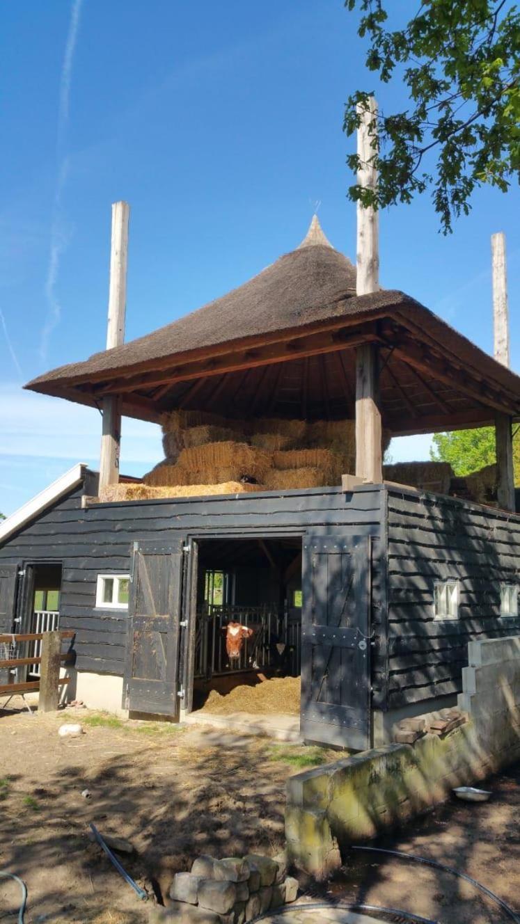Landgoed Groot Boerle Bed and Breakfast Wijhe Εξωτερικό φωτογραφία