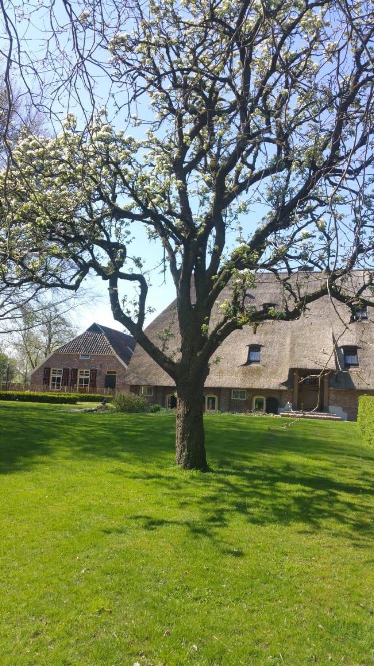 Landgoed Groot Boerle Bed and Breakfast Wijhe Εξωτερικό φωτογραφία